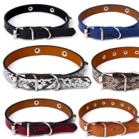 Snake Skin Pattern Adjustable Puppy Dog Kitten Cat Small Medium Large Pet Collar
